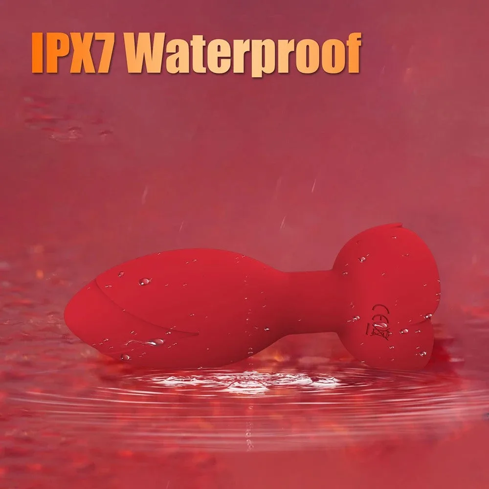 24.jpg