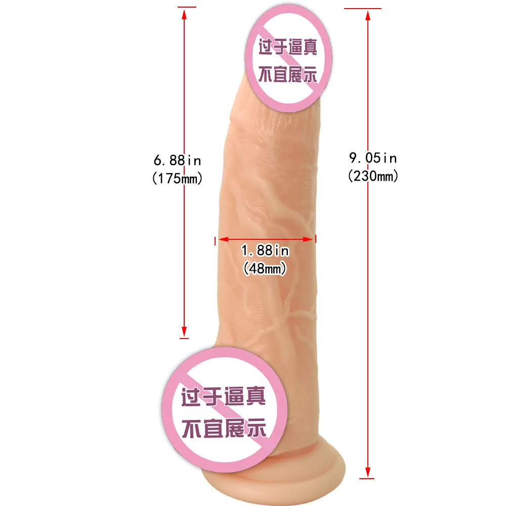尺寸.jpg