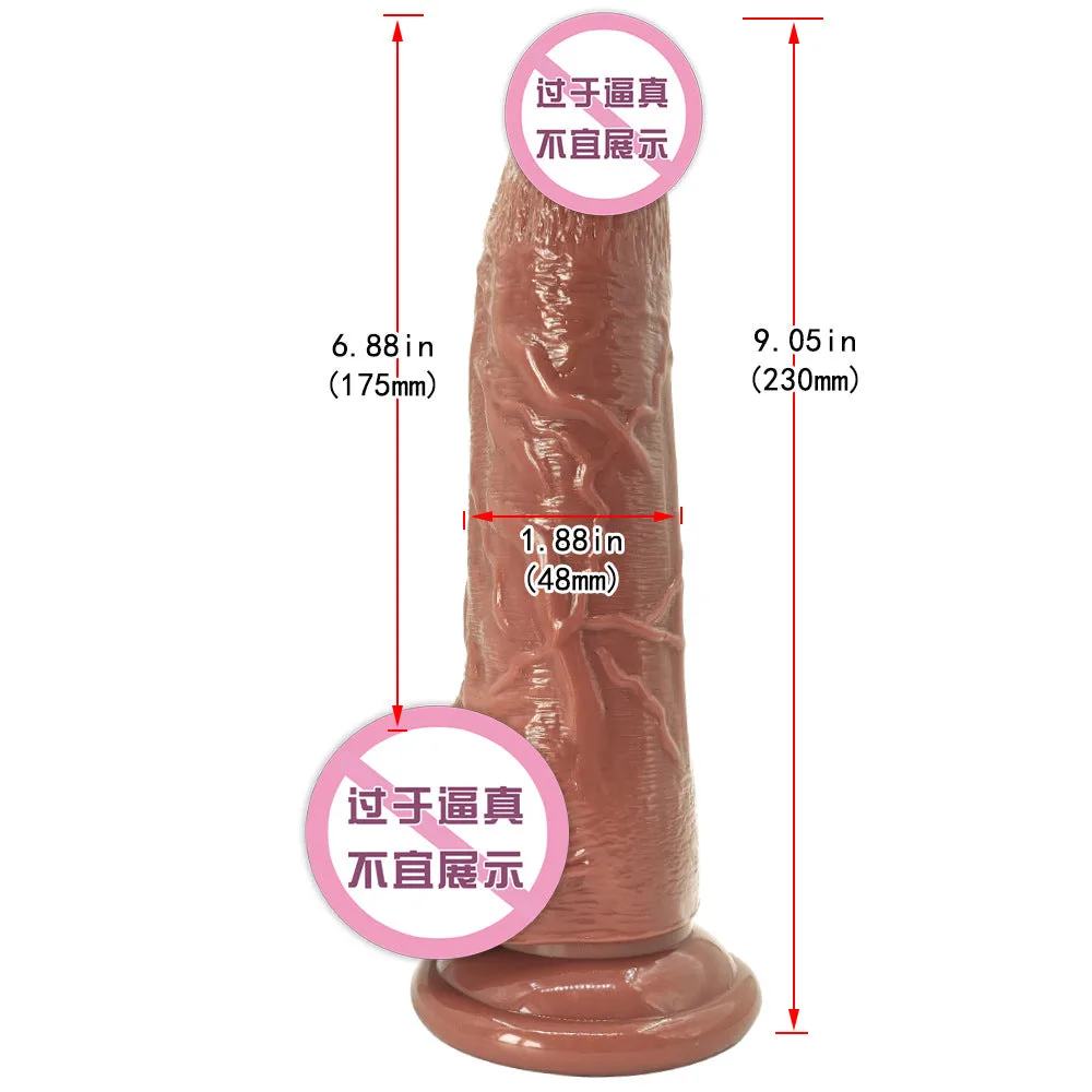 尺寸.jpg